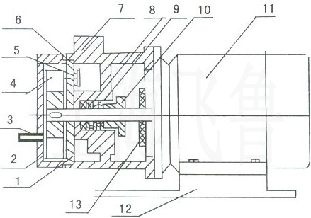 SK直聯(lián)型水環(huán)式真空泵結構圖